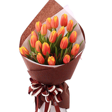 郁金香的花语代表高贵和浪漫 亲您鲜花网